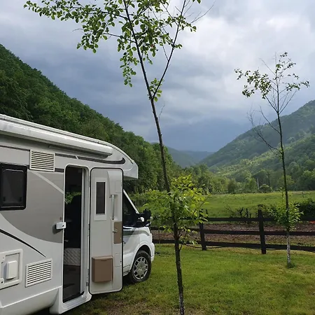 New Campers, Full Grazing, Hit