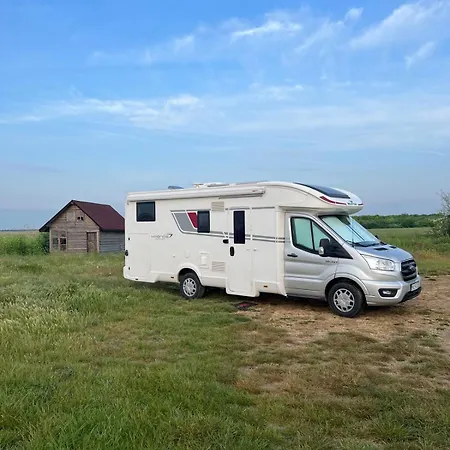 New Campers, Full Grazing, Hit * 华沙