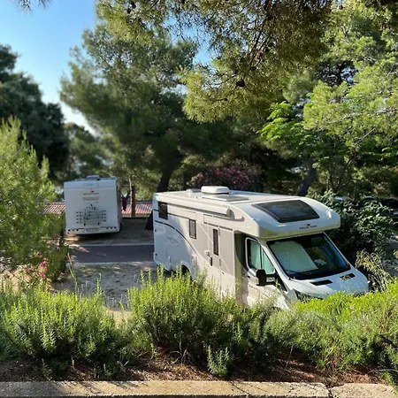 New Campers, Full Grazing, Hit 公寓 华沙